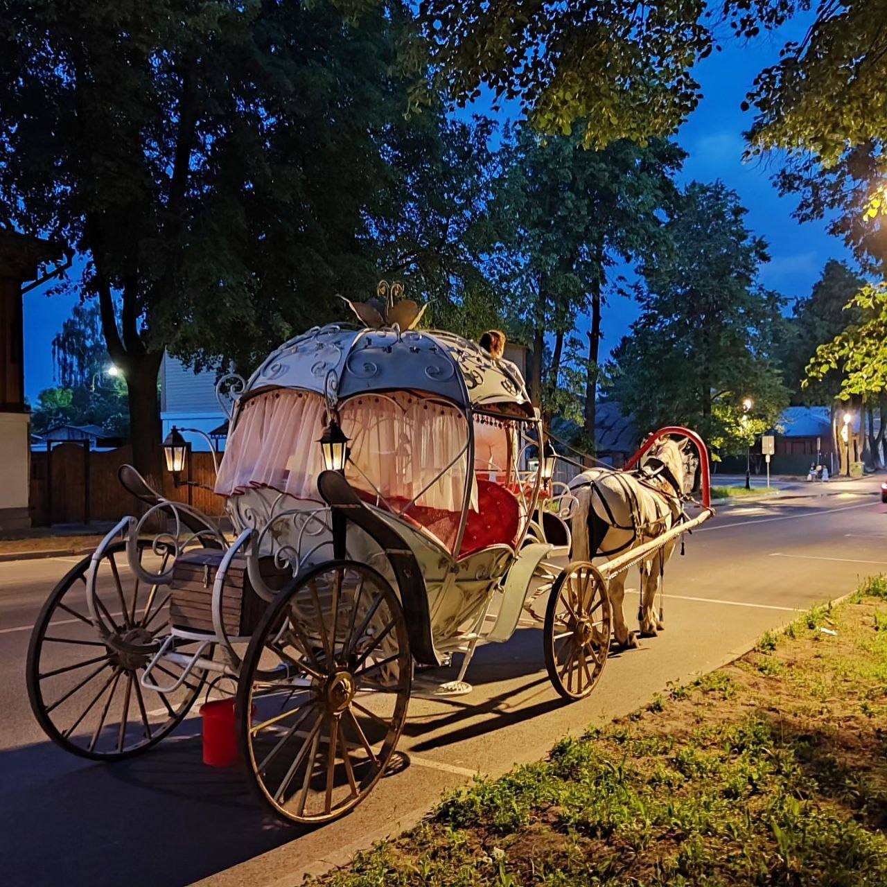 Праздничное конное такси